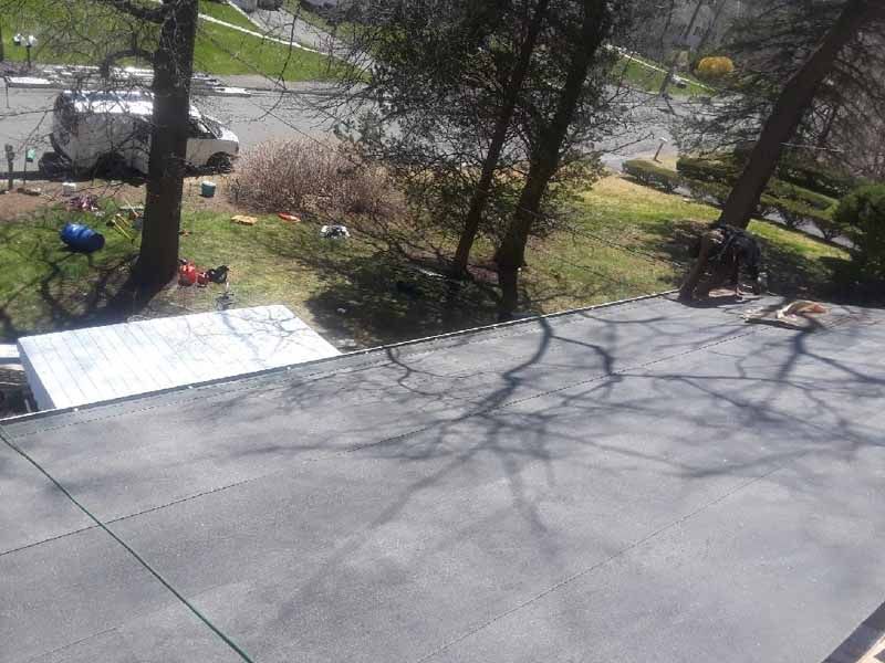 View from a roof, trees casting shadows, yard, and parked van.