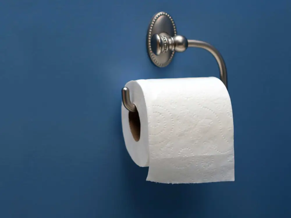 a roll of toilet paper is hanging on a toilet paper holder