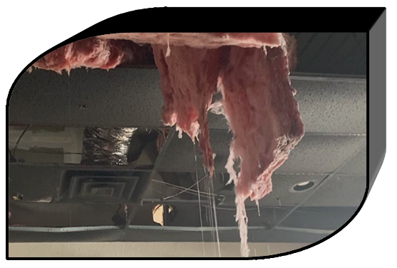 ceiling damage from burst pipes in Queens, NY