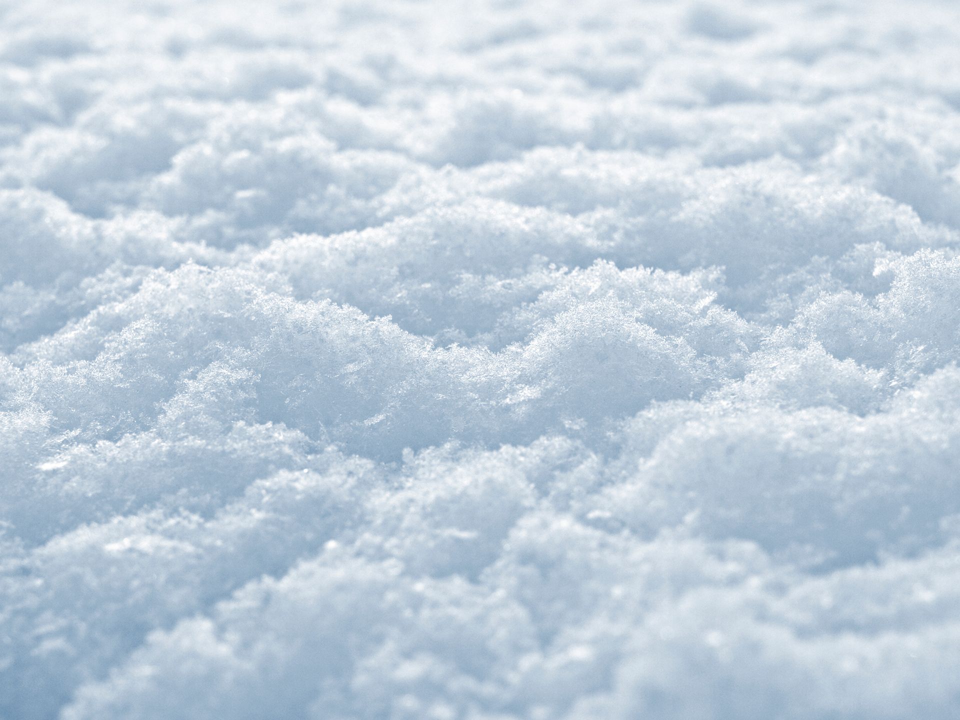 Preventing Water Damage from Snow Melt: Tips and Precautions