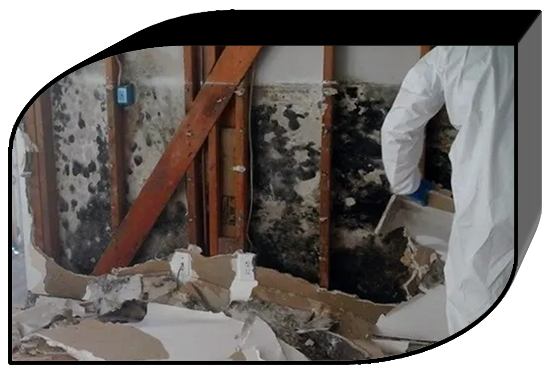 mold has grown behind a wall in Queens, NY.