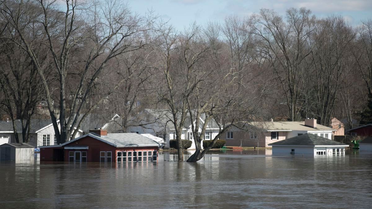 A flooded neighborhood with houses and trees in the background