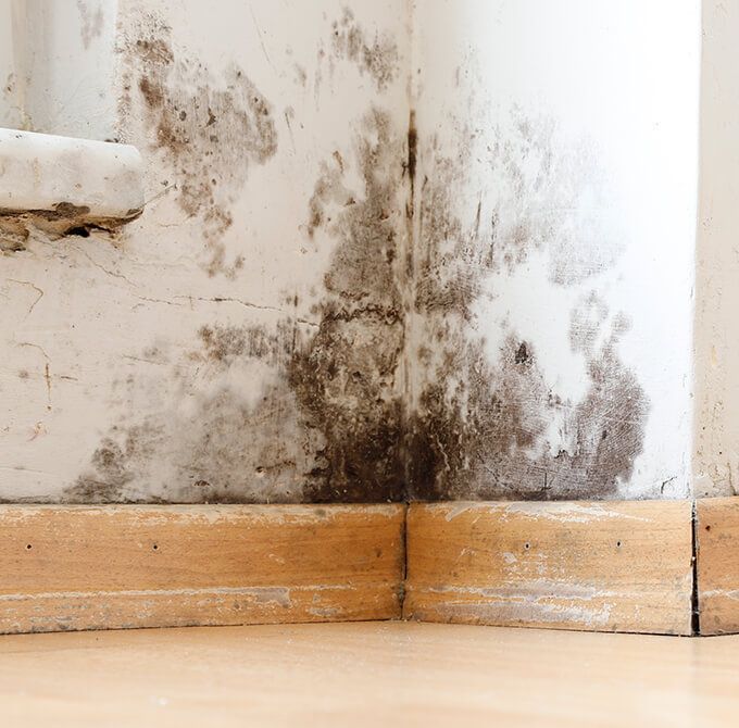 mold damage on the walls in Queens, NY.