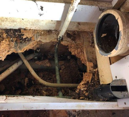 rotting subfloor from water damage in Queens, NY