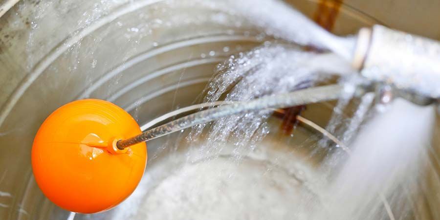 An orange ball is floating in a tank of water.