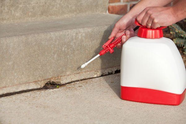 A person sprays pesticide on concrete steps with a red and white sprayer.