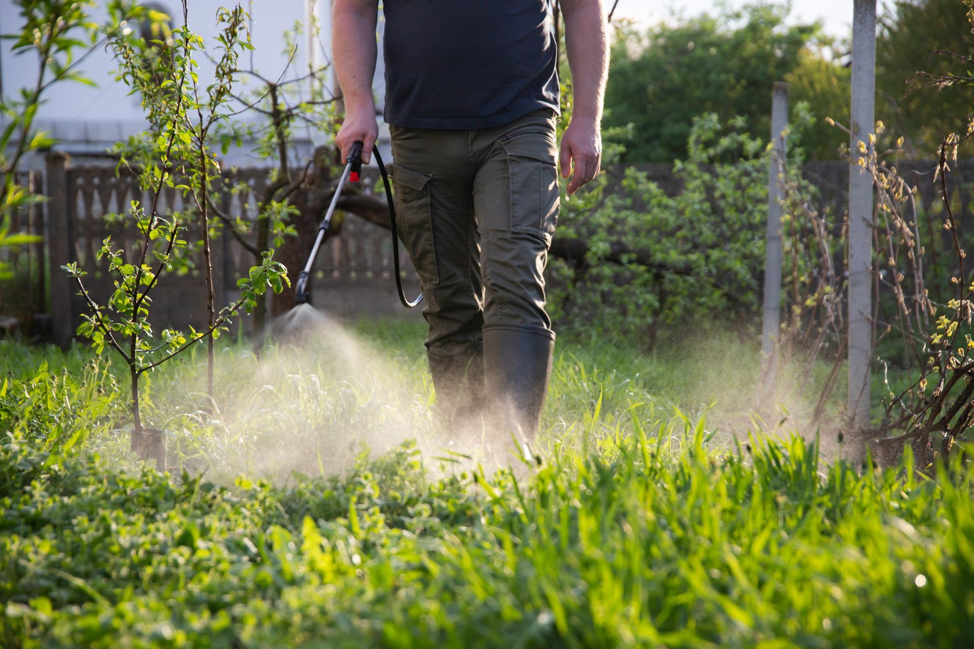 a person spraying herbicide or pesticide in a garden or orchard with green grass and small trees
