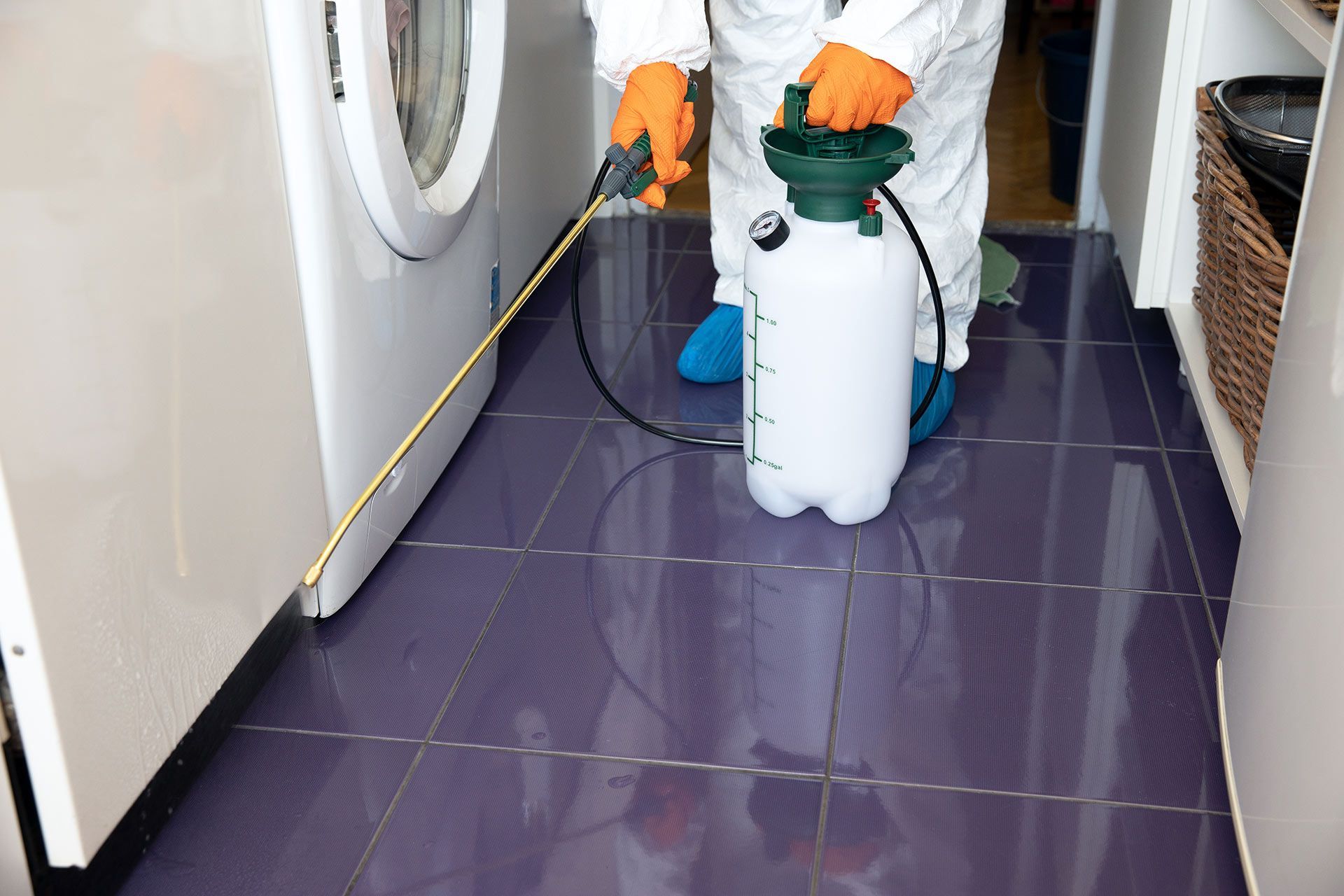 A pest control worker sprays treatment along the tiled floor near the washing machine. A pest control worker sprays treatment along the tiled floor near the washing machine.