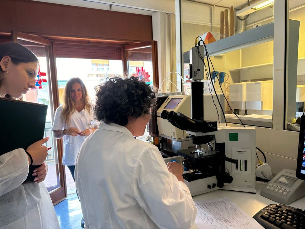 Analizzatore automatico di ultima generazione