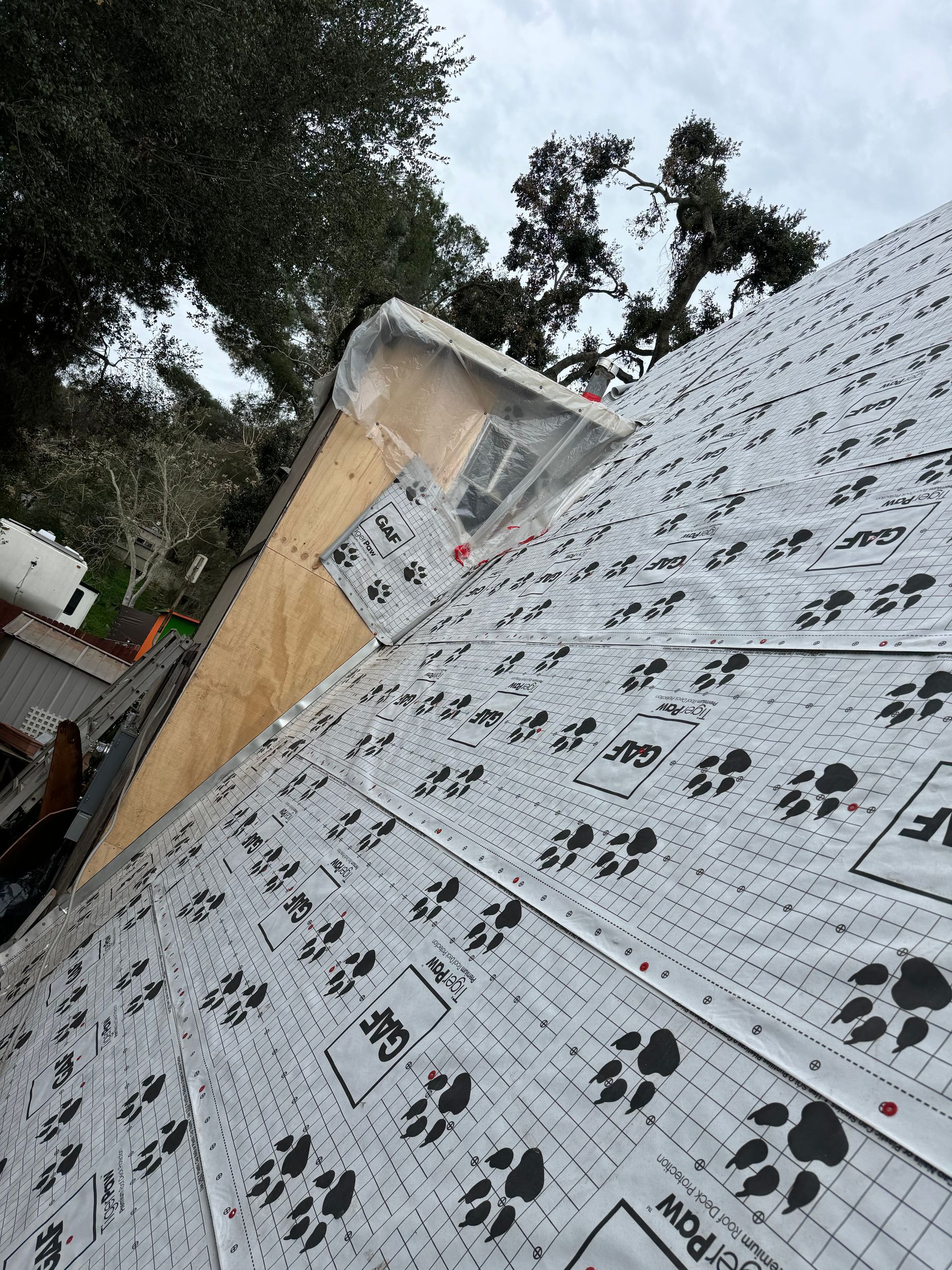 Roof being worked on, plywood and protective underlayment visible, with paw print pattern.