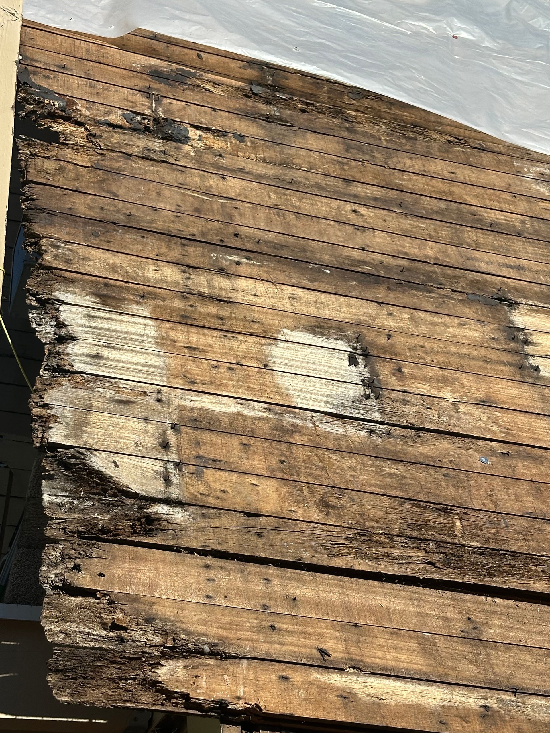 Close-up of weathered wood planks, showing dark discoloration and some white spots, likely mold or damage.
