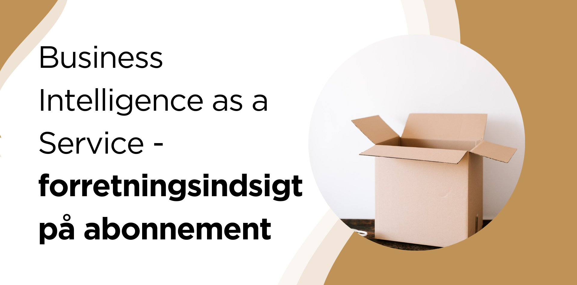 En papkasse med ordene business intelligence as a service skrevet på