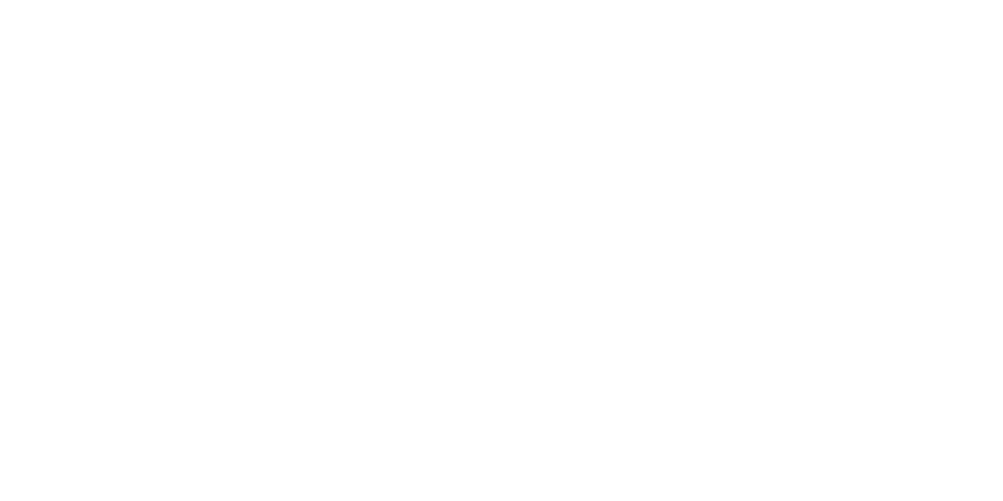 NNIT logo