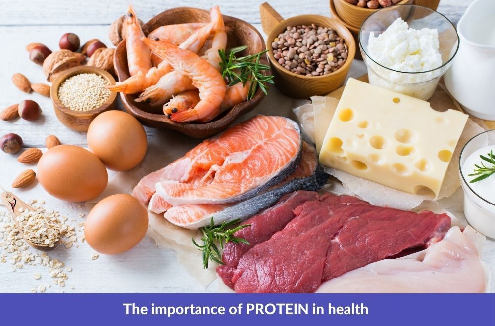 Eat More Protein, protein
