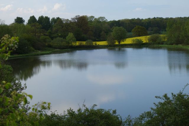 Seenlandschaft im Frühjahr