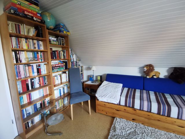 Bücherwand im Wohnbereich mit Doppelschlafcouch