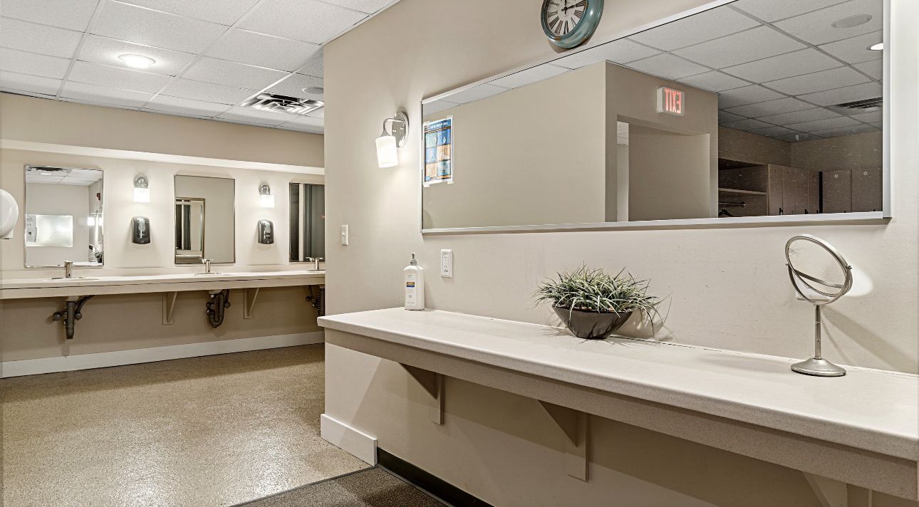 A modern restroom vanity with a long white counter, a wall-mounted mirror, a small plant, and a table mirror.
