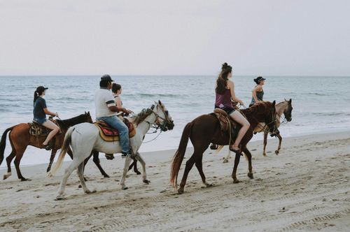 People riding horses along a sandy beach by the ocean