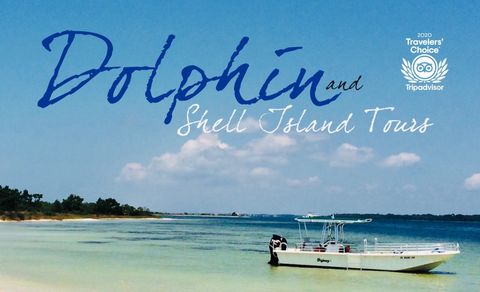 Trip Advisor Travelers Choice Osprey Dolphin and Shell island