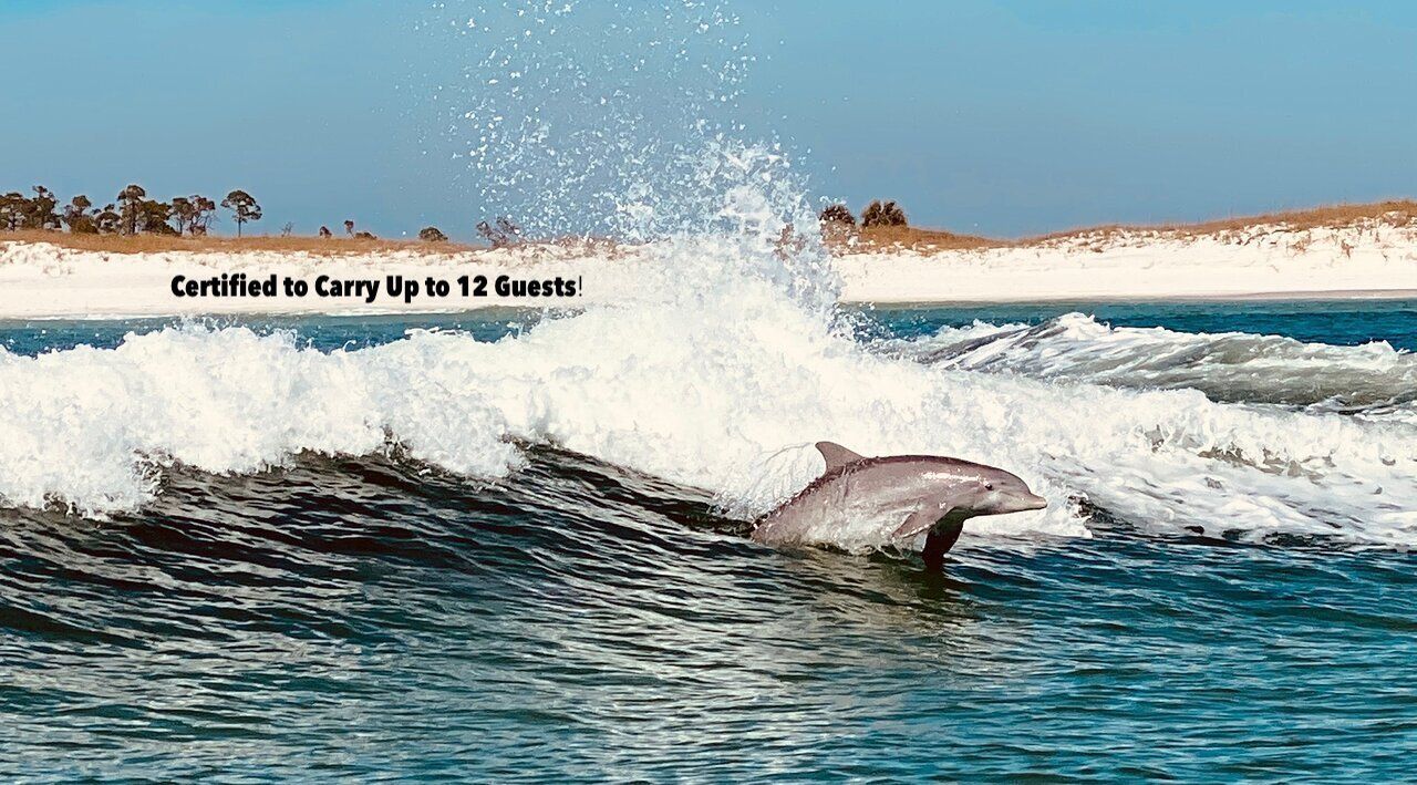 Osprey Charters Doplhin & Shell Island Tours certified to carry 12 guests.