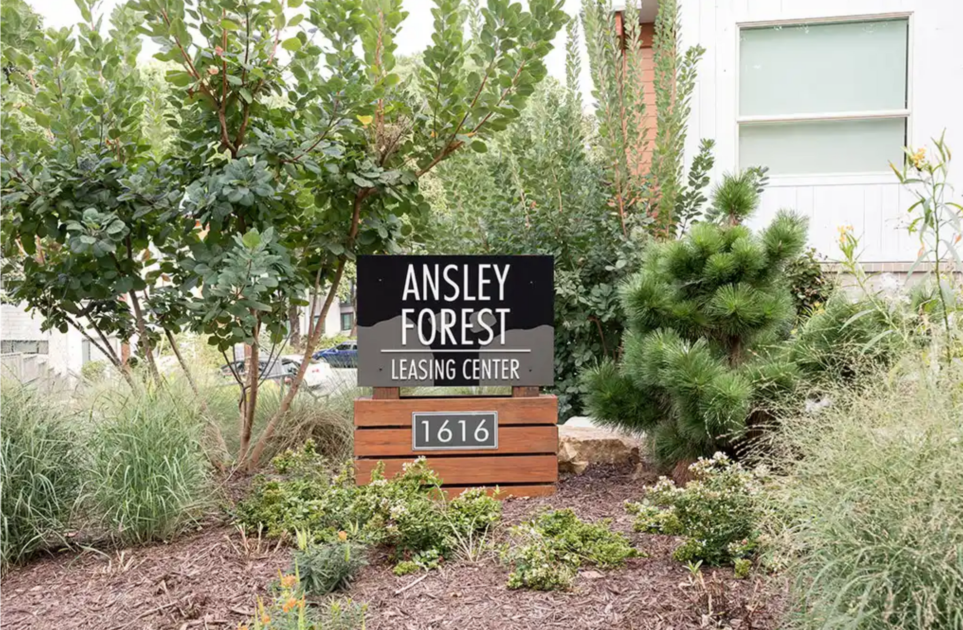 bexley-2
