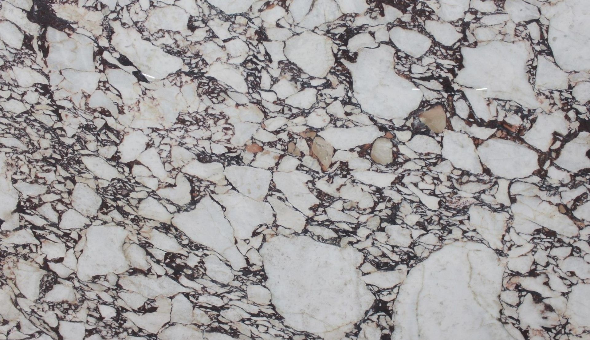 Calacatta Viola Marble