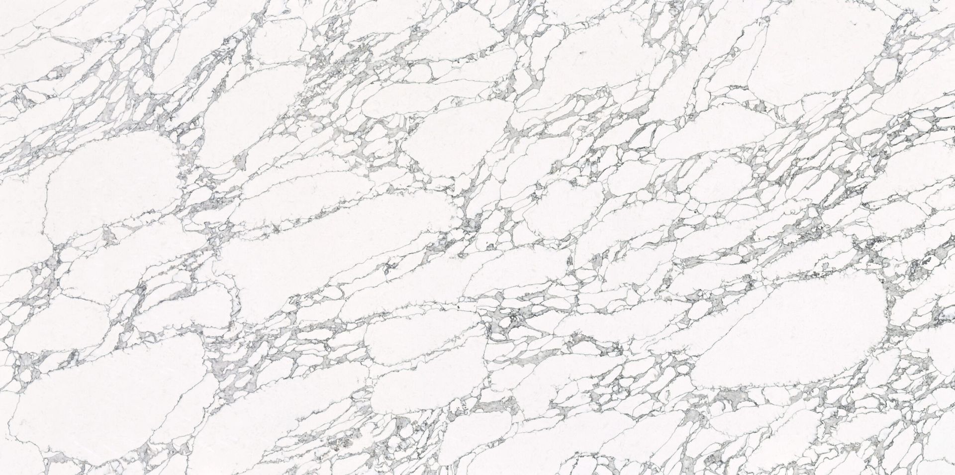 CQS Calacatta Pearla