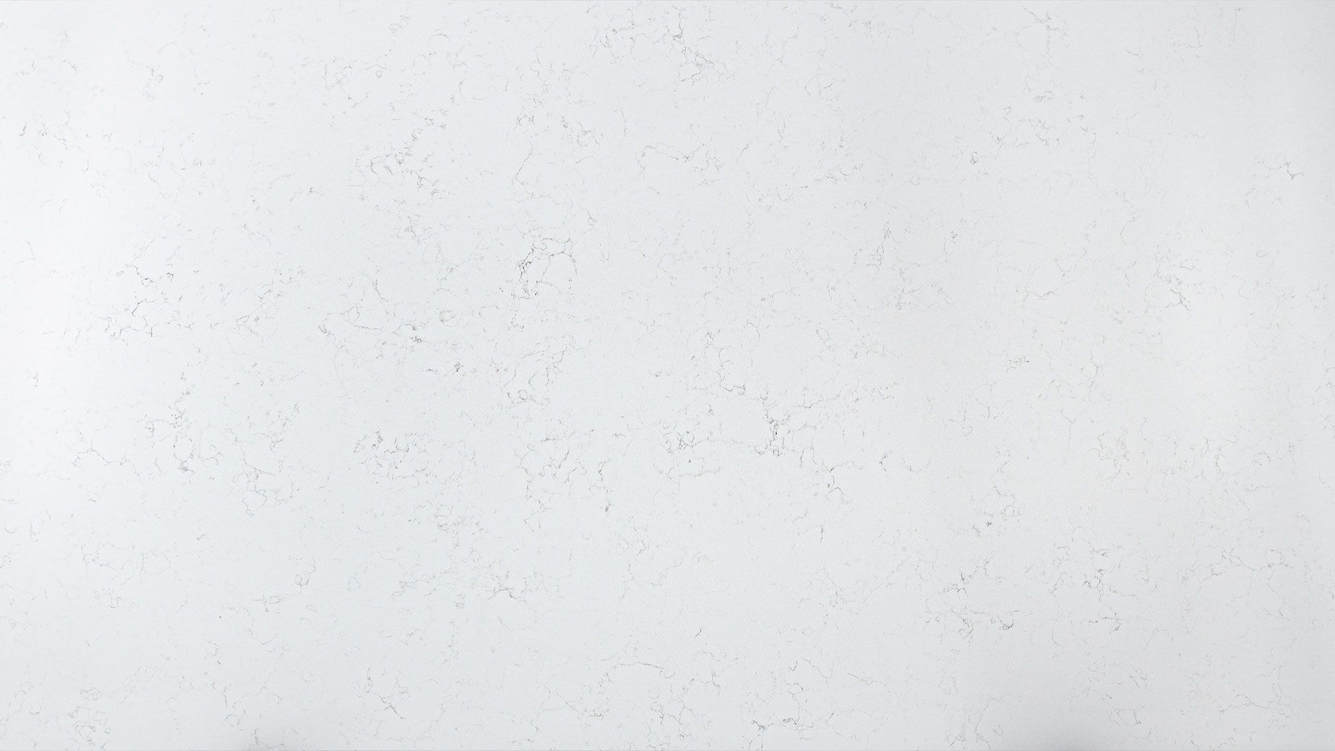 CQS Carrara White