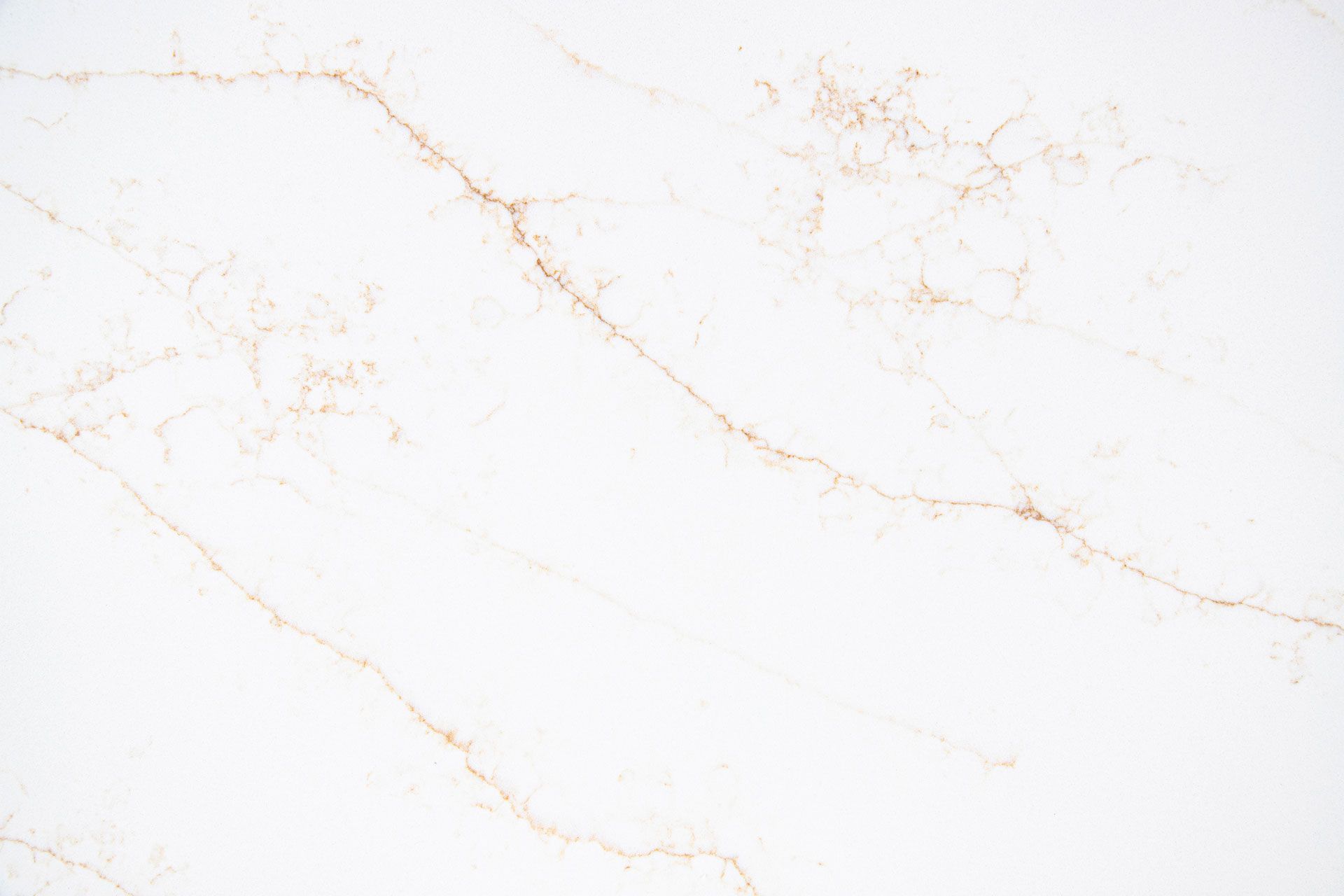 CQS Moderna Gold