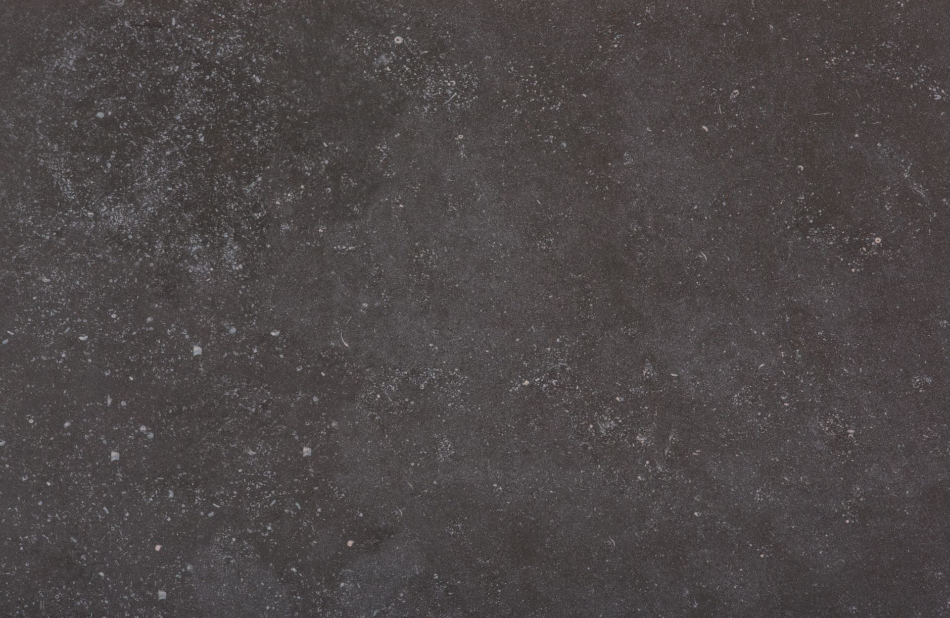 Dekton Fossil