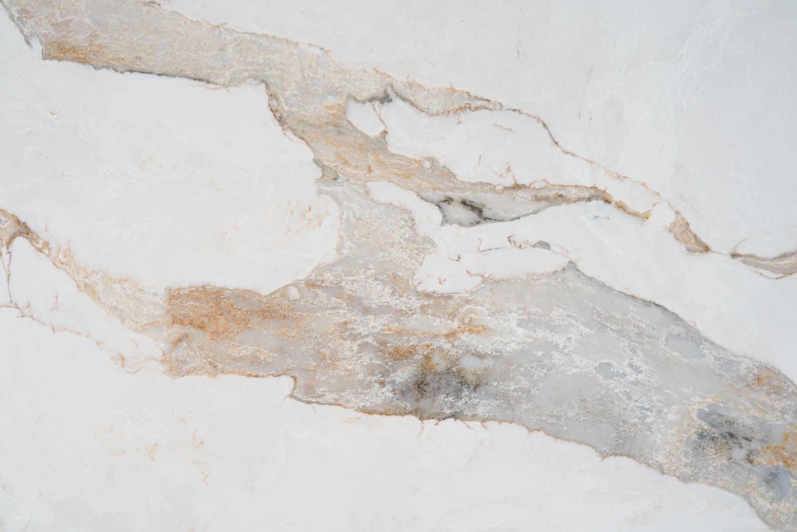 CQS Calacatta Bronzite