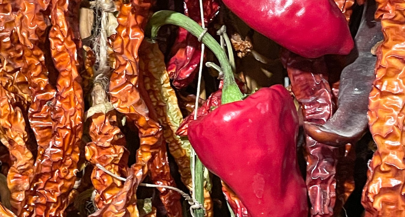 Pebrots vermells i secs penjats, una mostra de productes assecats. Cal Serni