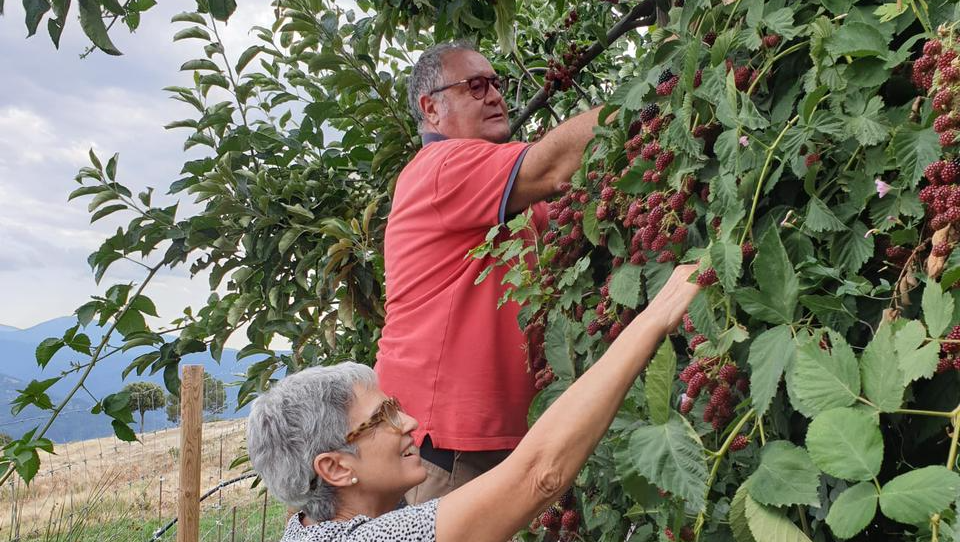Hort i granja de Cal Serni