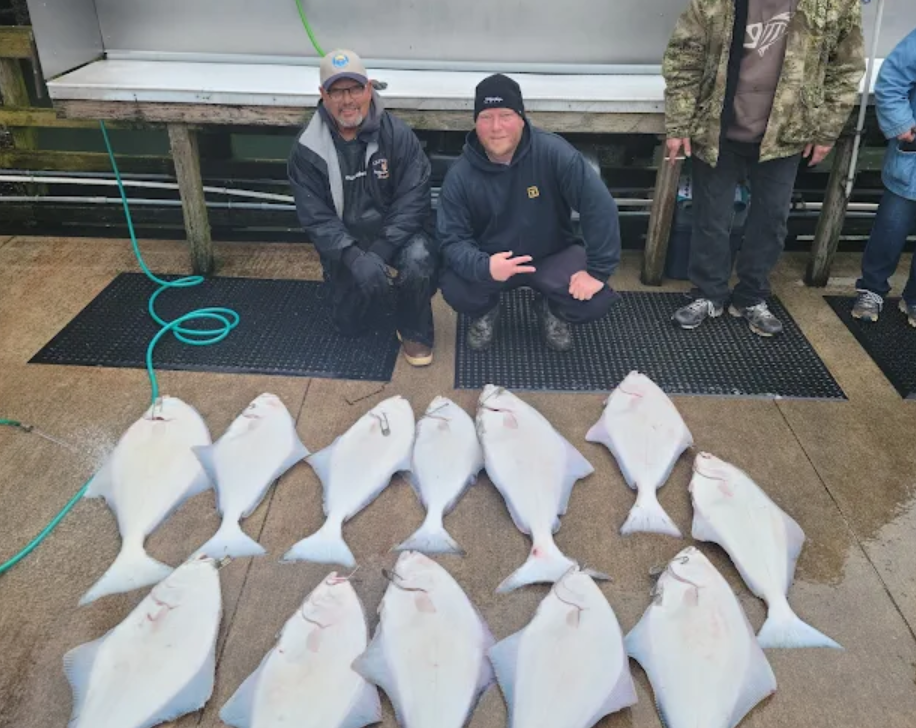 Halibut Fish Caught from the Sea