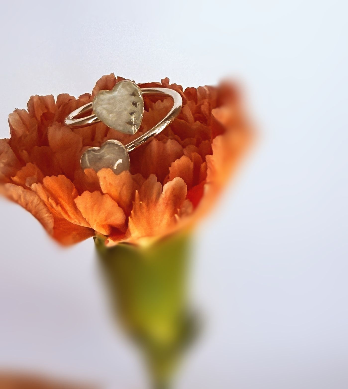 Silver ring with two heart-shaped stones, one clear and one pale pink, on a light background
