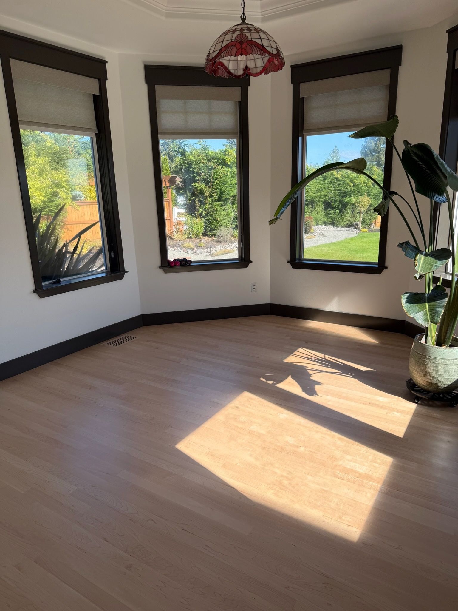 Bright corner room with bay windows, wood floor, sunlight, and a potted plant