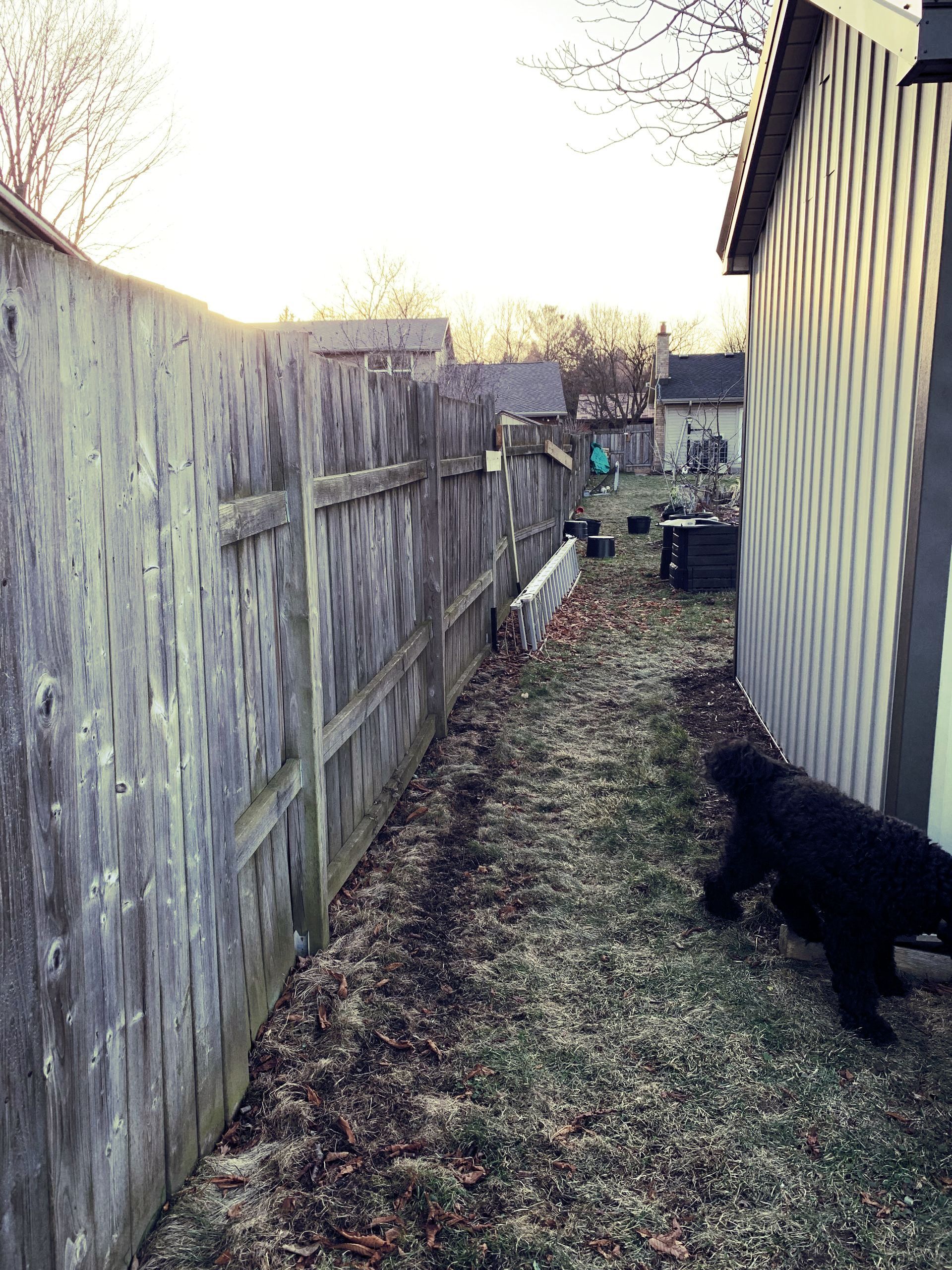 shed beside the wooden privacy fence
