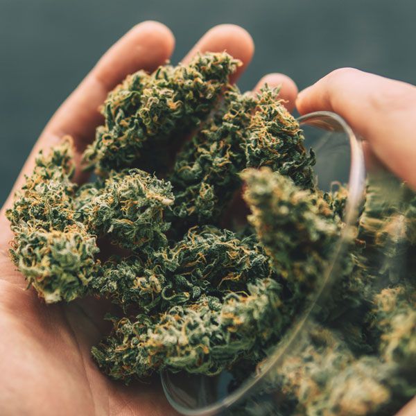 Flower, Pre-rolls