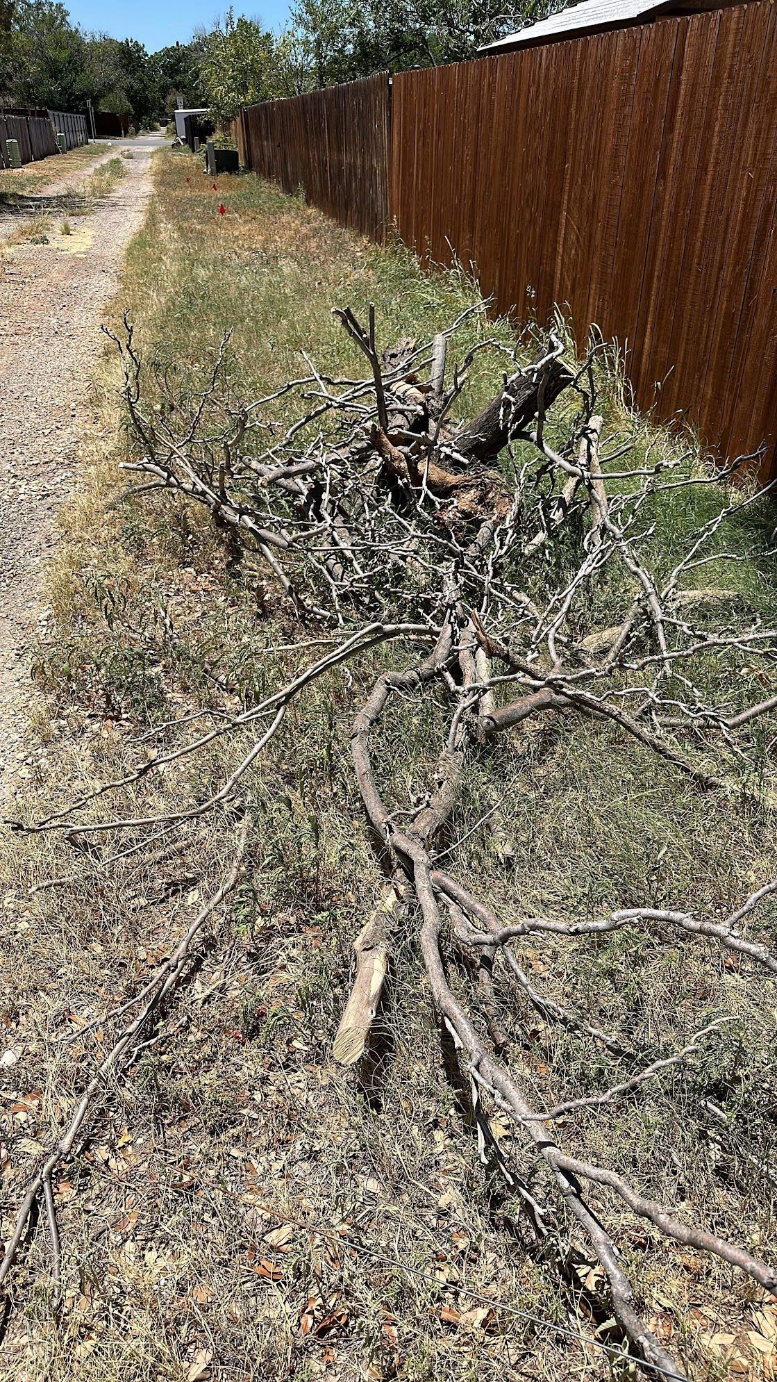 A pile of branches laying on the ground next to a wooden fence.