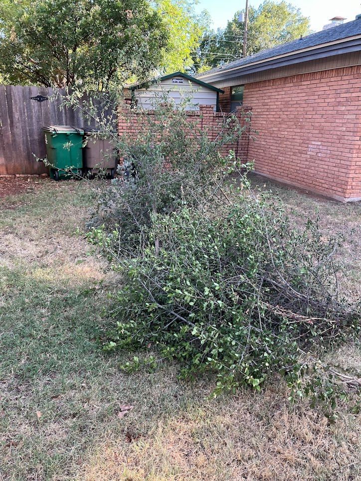 A pile of branches is sitting in the grass in front of a brick house.