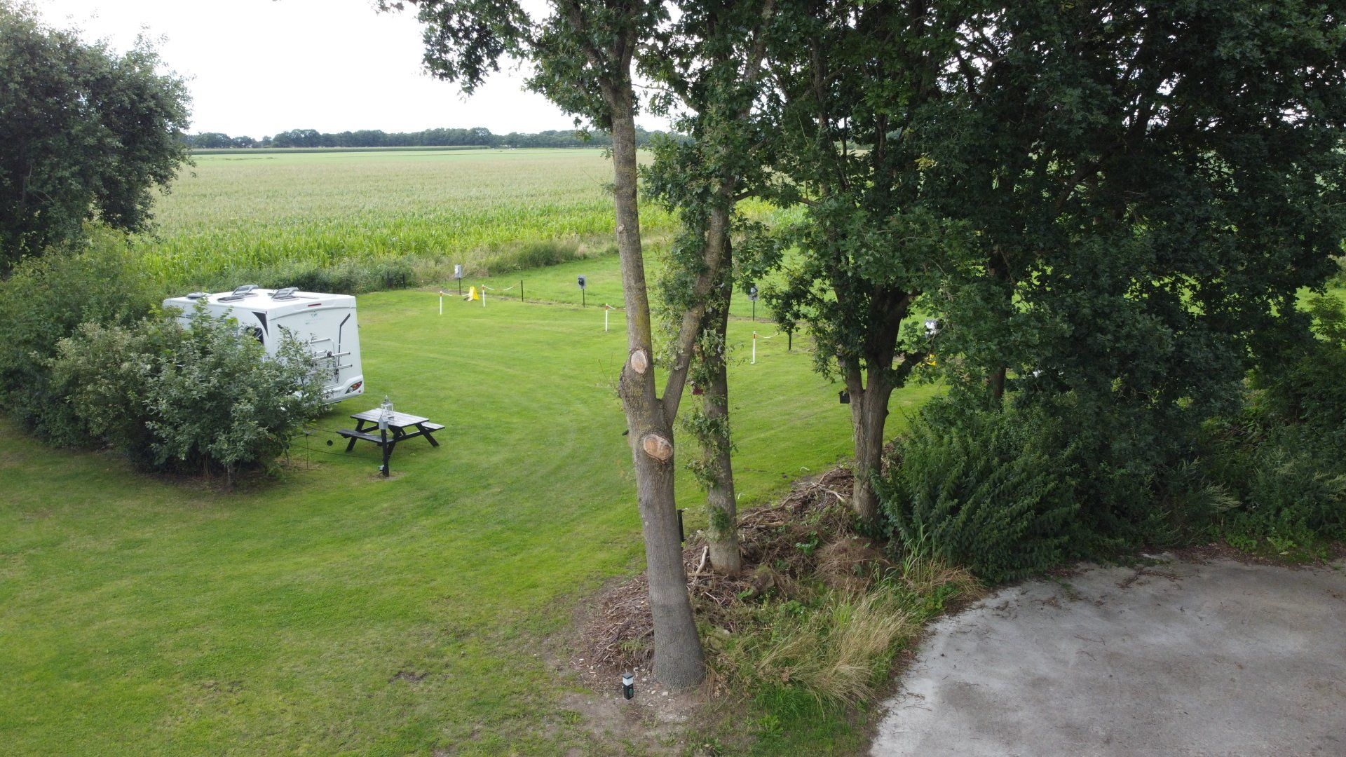 Een grasrijke achtertuin met bomen, een witte bank en een veld aan de rechterkant, achter een smal pad.