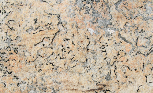 Close-up of a textured beige stone surface with dark, irregular patterns and holes.