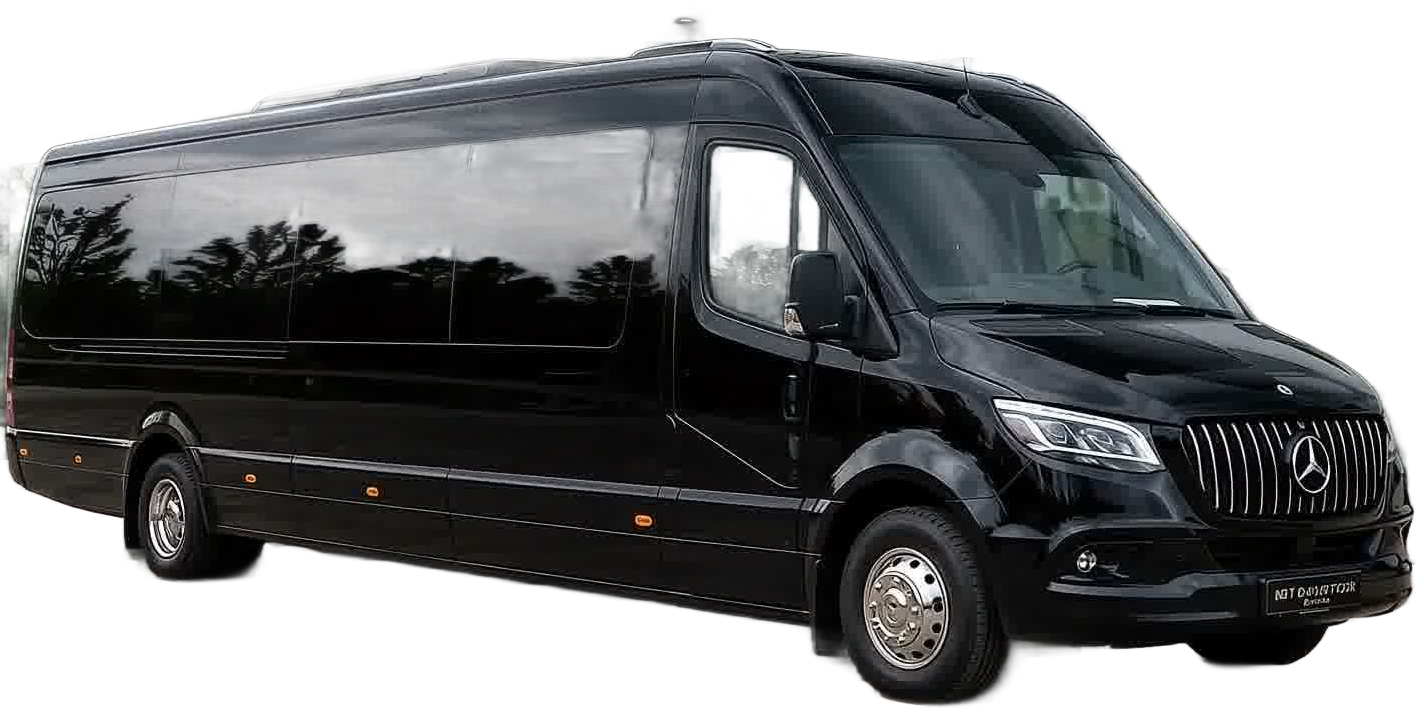 Coaches & Minibuses