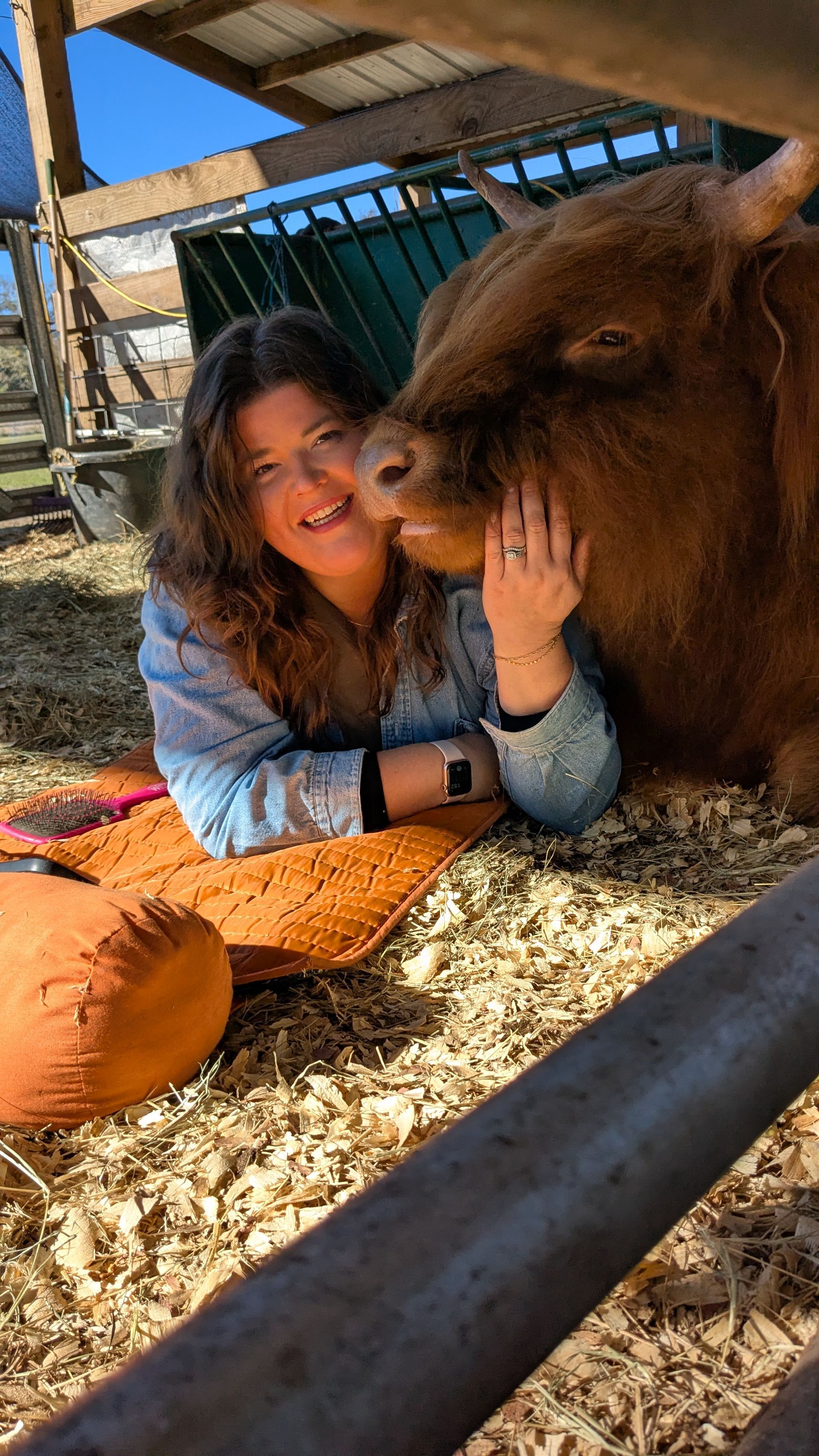 Woman smiles, gently touches a Highland cow's head; they are outdoors near a fence.
