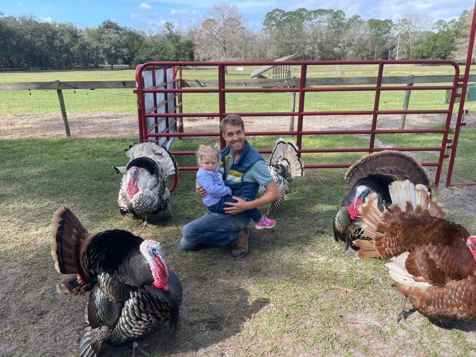 Man holding a child, surrounded by turkeys in a fenced grassy area.