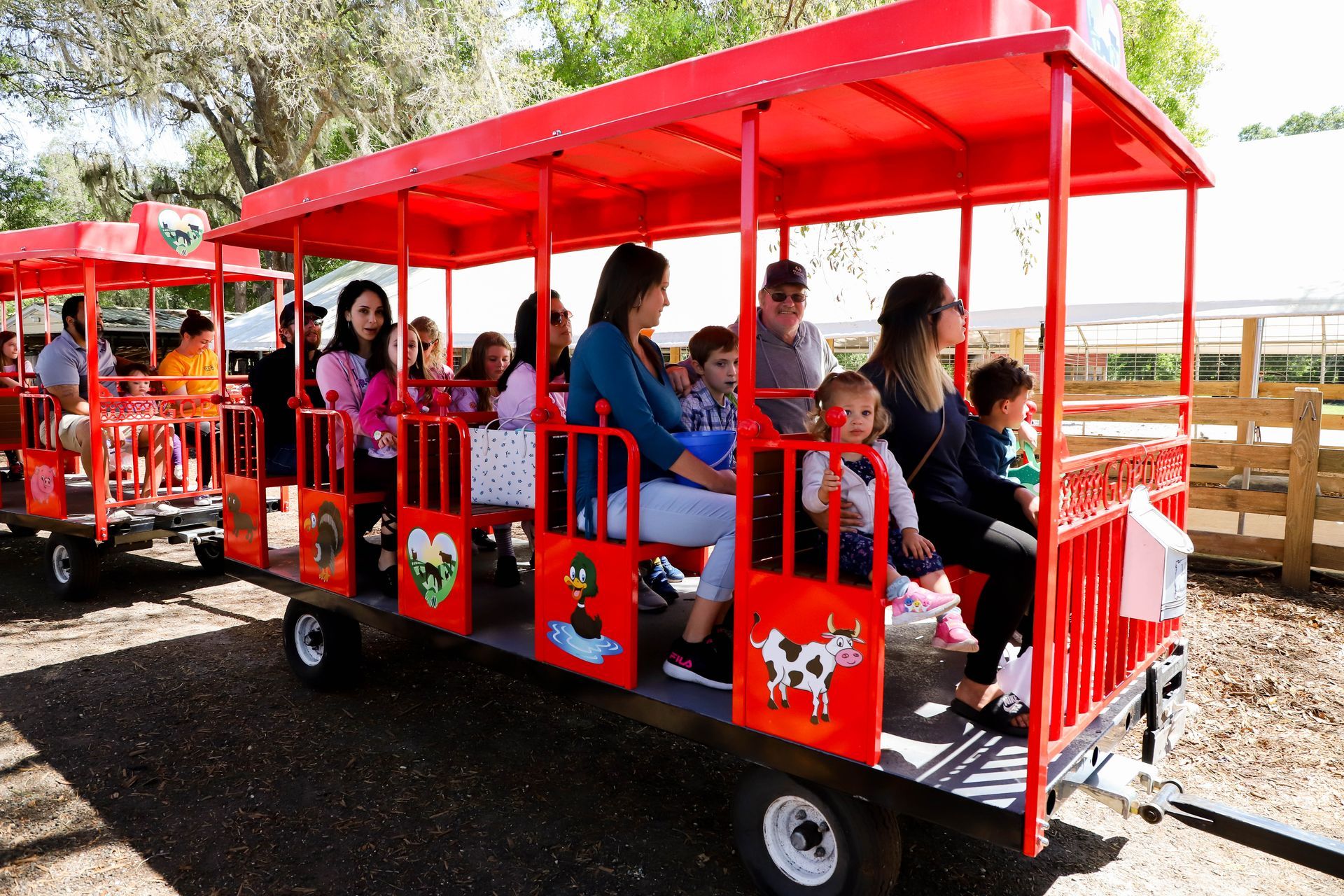 Red farm train with passengers at a sunny outdoor setting.
