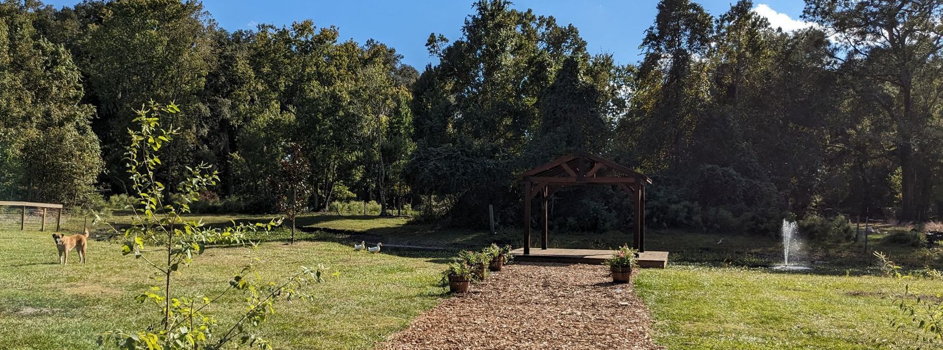 A grassy park with a pathway leading to a gazebo, surrounded by trees under a clear, blue sky.
