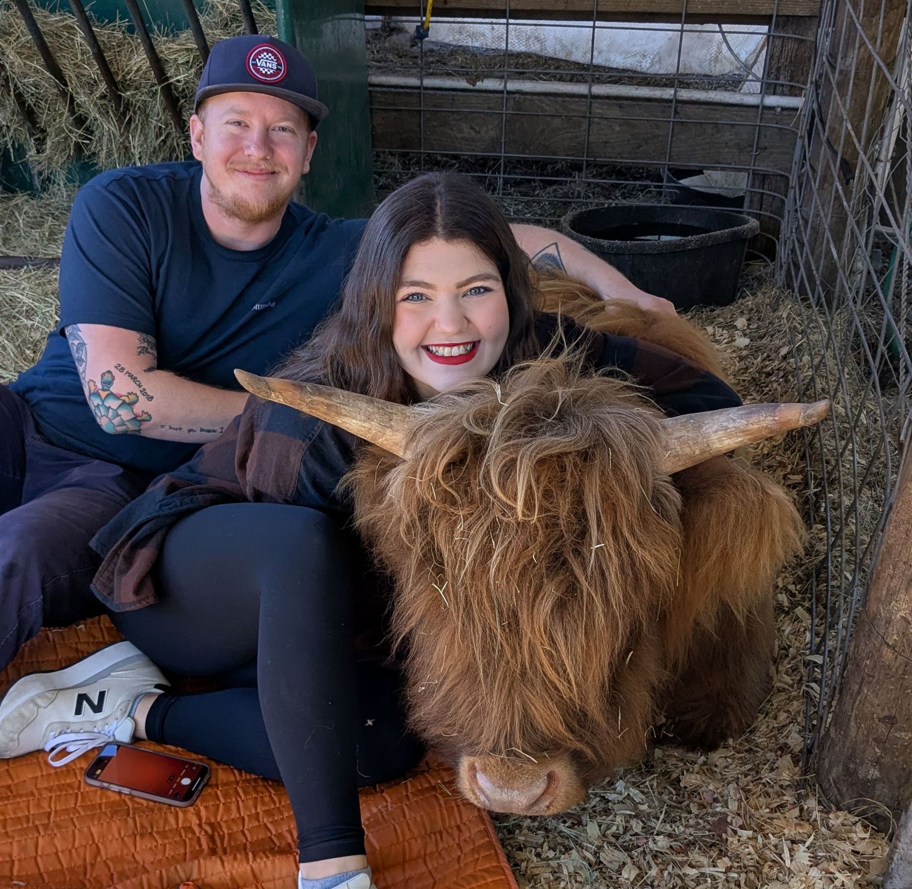 Couple smiles posing with a Highland cow in a farm setting; outdoors, sunny.