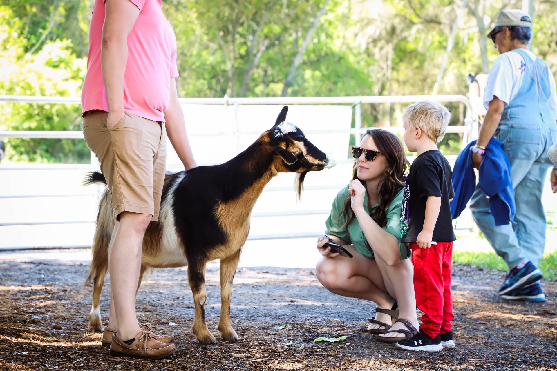 People interacting with a goat at a farm. A woman and child crouch near the goat, while others look on.