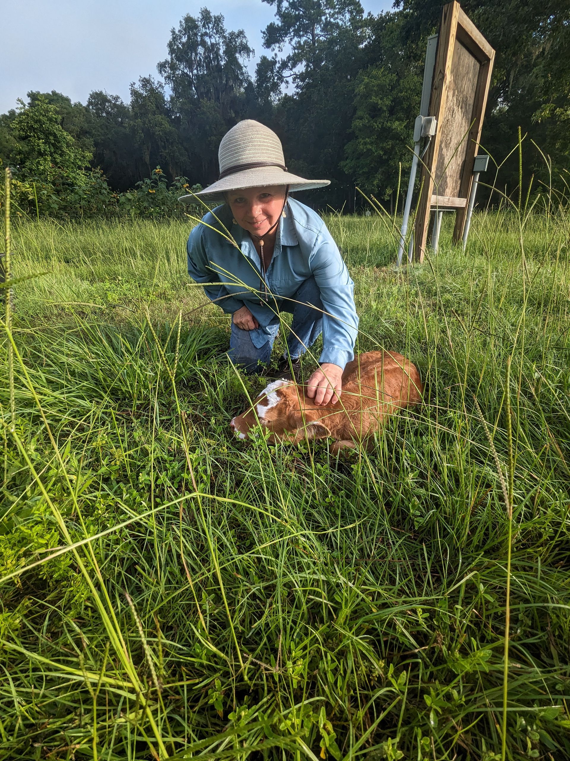 Woman petting a brown calf in a grassy field. She wears a hat and blue shirt.